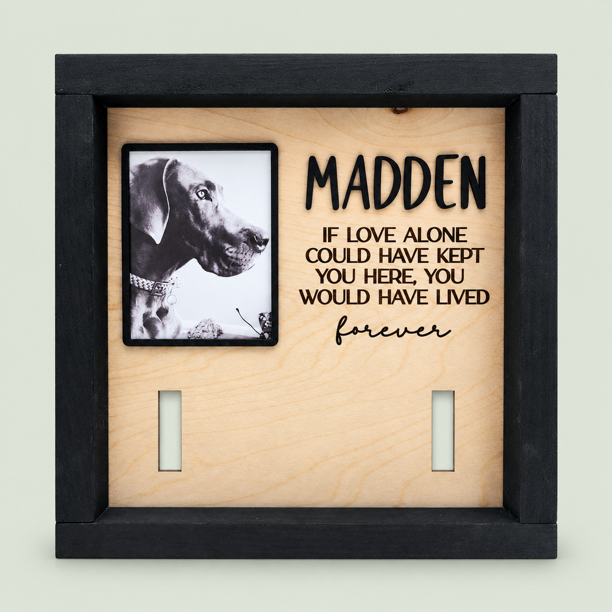 Black pet memorial frame with Madden's photograph, name and collar display slots on soft sage.