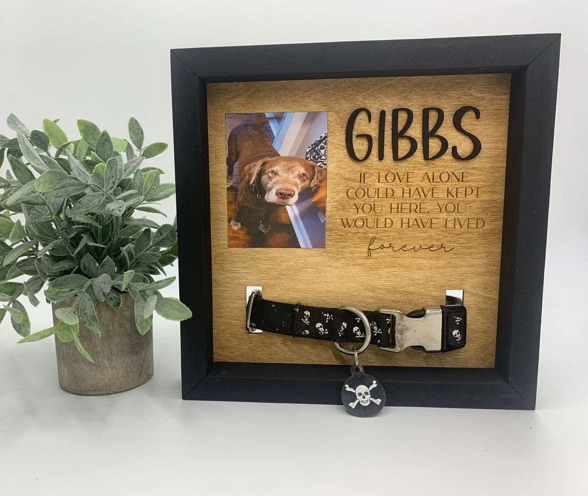 Personalized Pet Memorial Frame, Dog Collar Keepsake, Engraved Sympathy Gift, Pet Loss, Rainbow Bridge