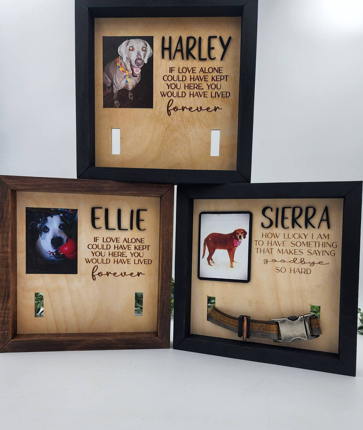 Personalized Pet Memorial Collar Display, Dog Remembrance Framed Display Printed Picture, Rainbow Bridge Pet loss Gift, Dog L