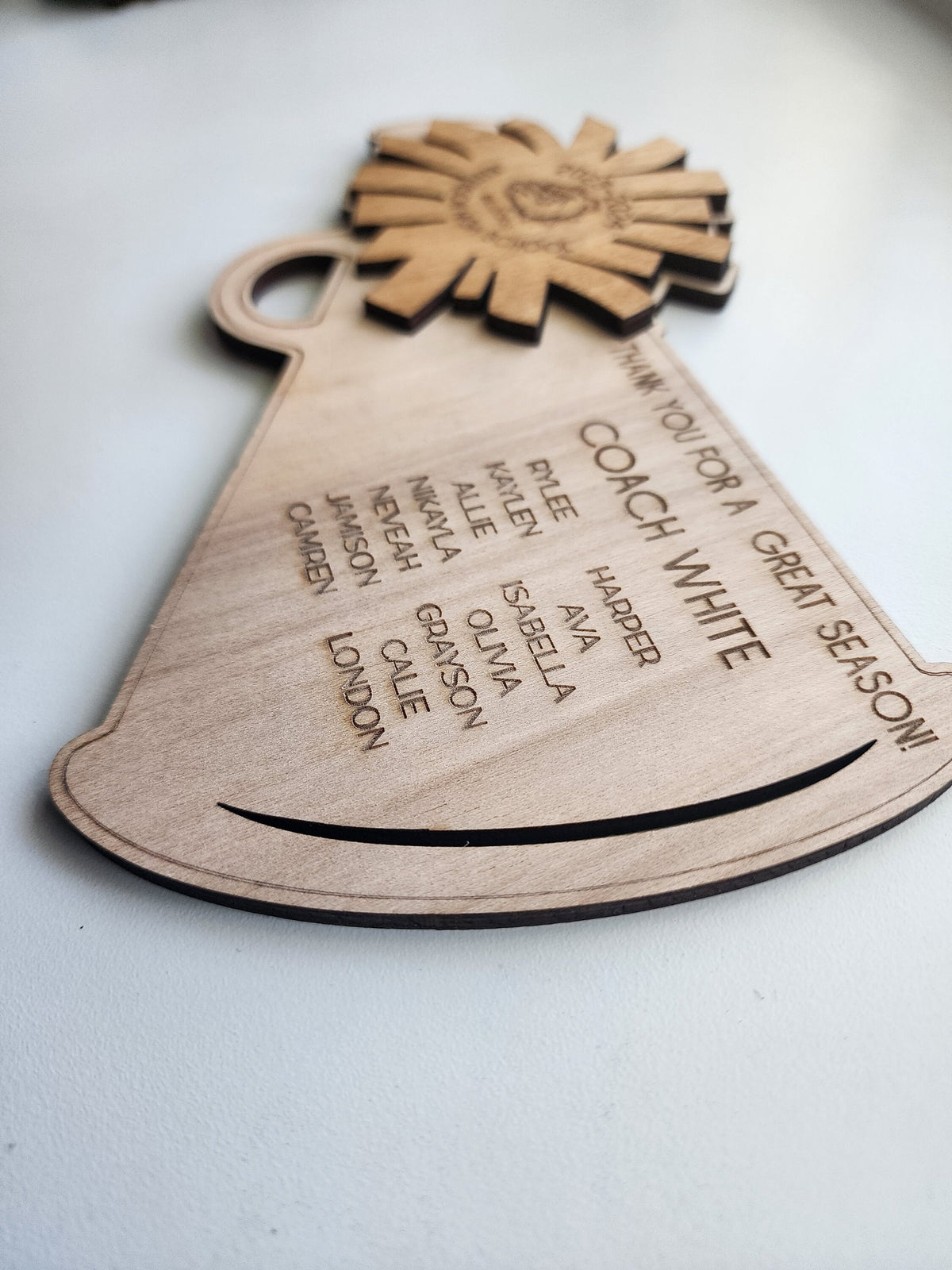 Cheer Coach Gift, Cheerleading Plaque,  team gift to coach, great season award, Thank You Coach 2025 2026 Cheer