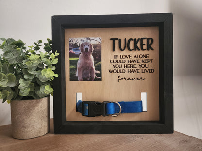 Personalized Pet Memorial Frame, Dog Collar Keepsake, Engraved Sympathy Gift, Pet Loss, Rainbow Bridge