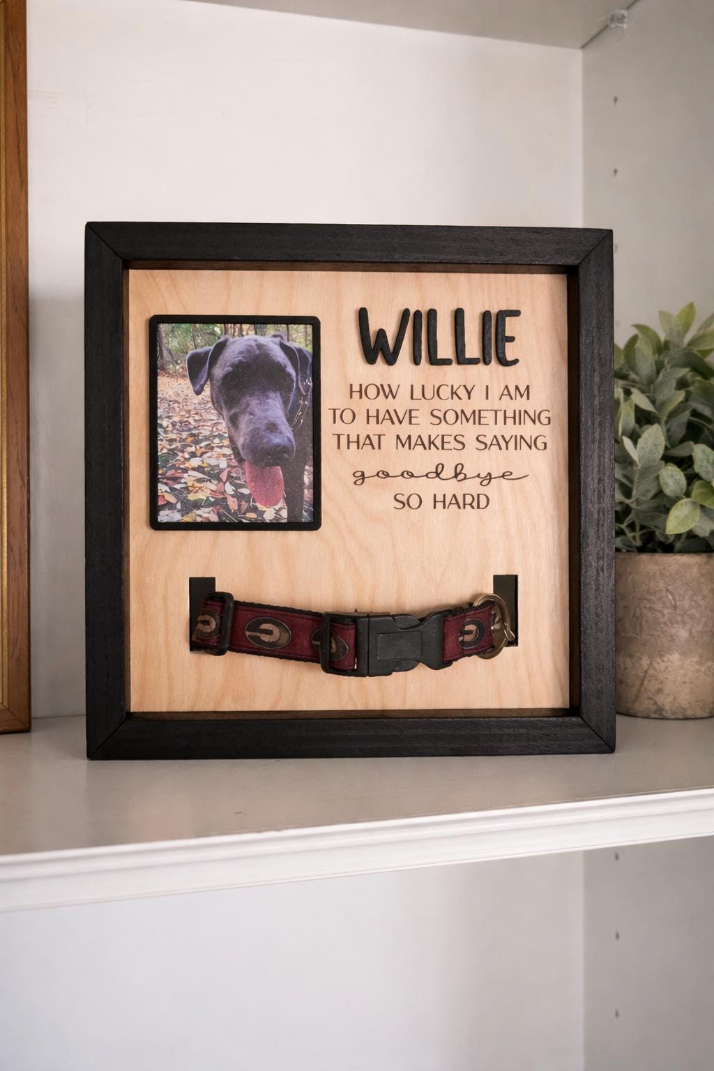 Personalized Pet Memorial Frame, Dog Collar Keepsake, Engraved Sympathy Gift, Pet Loss, Rainbow Bridge