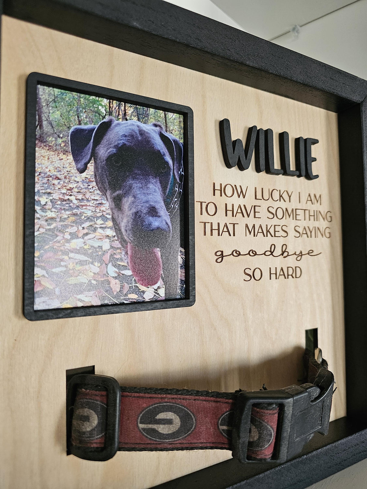 Personalized Pet Memorial Frame, Dog Collar Keepsake, Engraved Sympathy Gift, Pet Loss, Rainbow Bridge