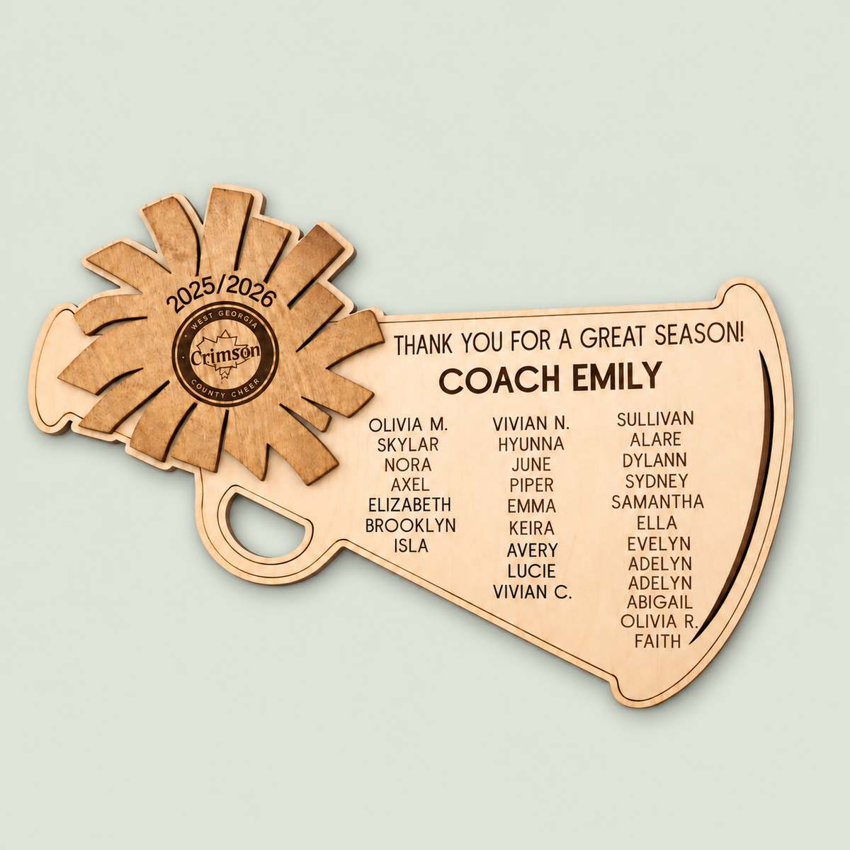Cheer Coach Gift, Cheerleading Plaque,  team gift to coach, great season award, Thank You Coach 2025 2026 Cheer on soft sage